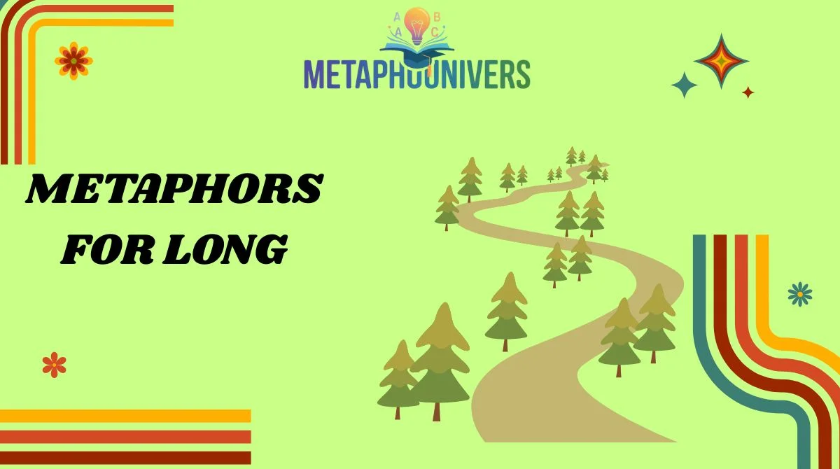 Metaphors for Long