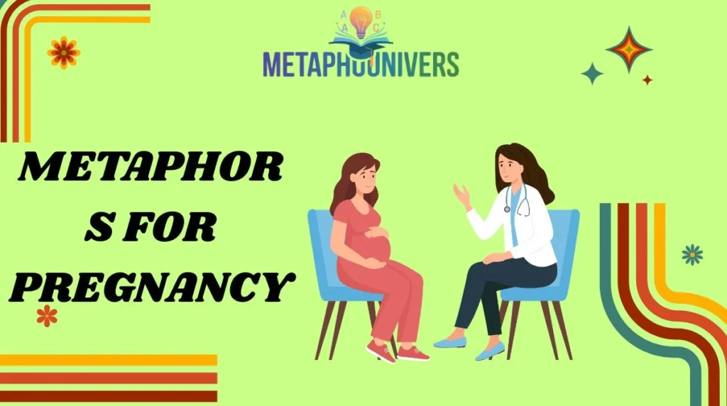 Metaphors for Pregnancy