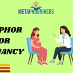 Metaphors for Pregnancy