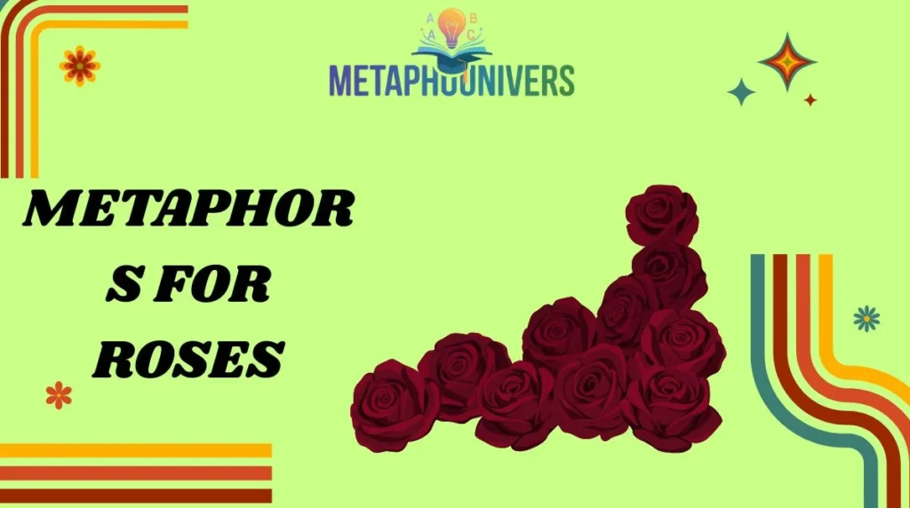 Metaphors for Roses
