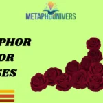 Metaphors for Roses