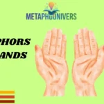 Metaphors for Hands
