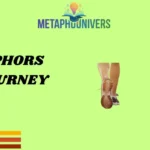 Metaphors for Journey