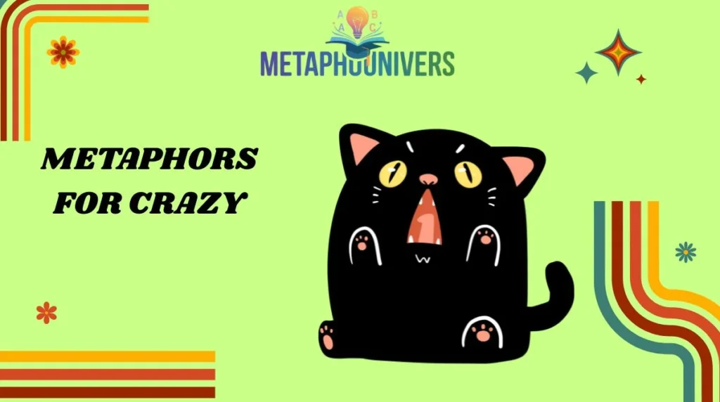 Metaphors for Crazy