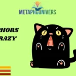 Metaphors for Crazy