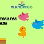 Metaphors for Birds