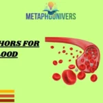 Metaphors for Blood