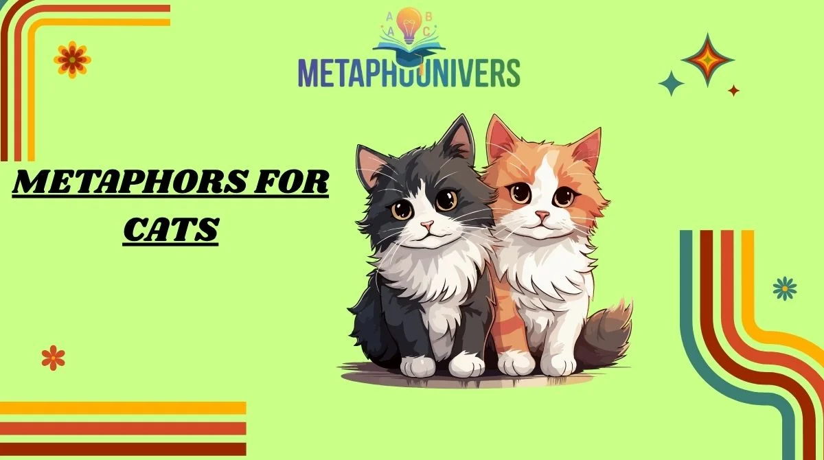 Metaphors for Cats